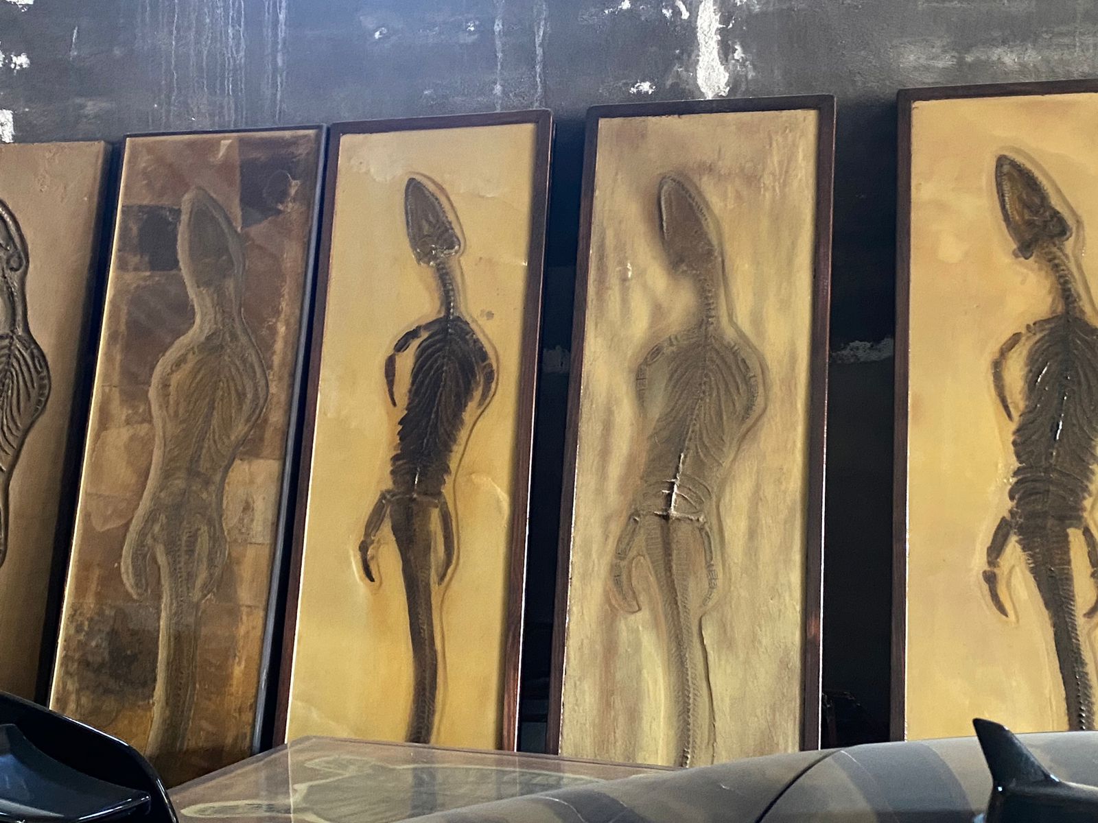 Especies de hace millones de años